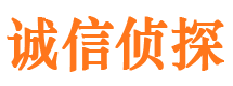 平湖侦探公司